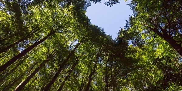 Image representing SUSTAINABLE HEALTHCARE